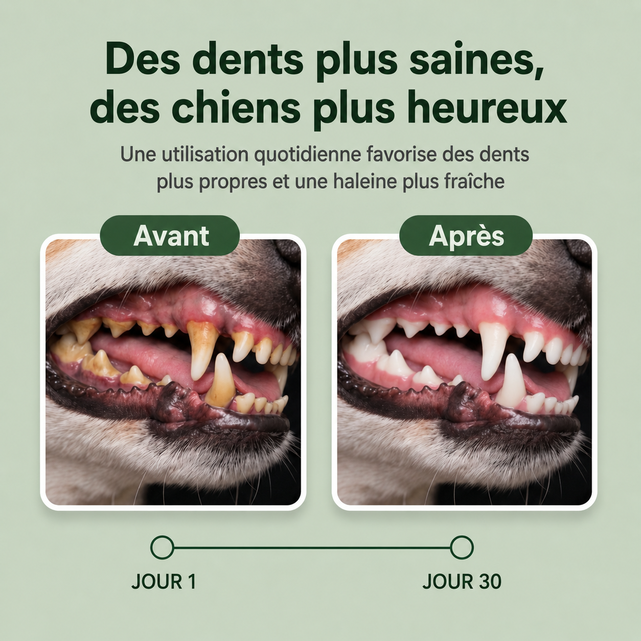 Savonia™ Pet Dental Cleaning Powder