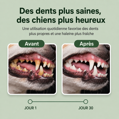Savonia™ Poudre nettoyante dentaire pour animaux