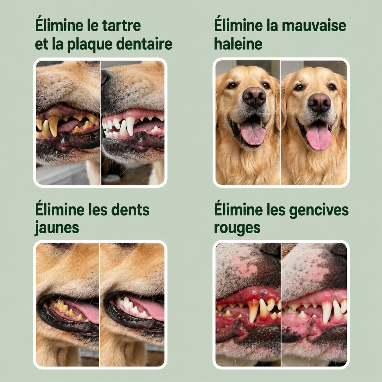 Savonia™ Pet Dental Cleaning Powder