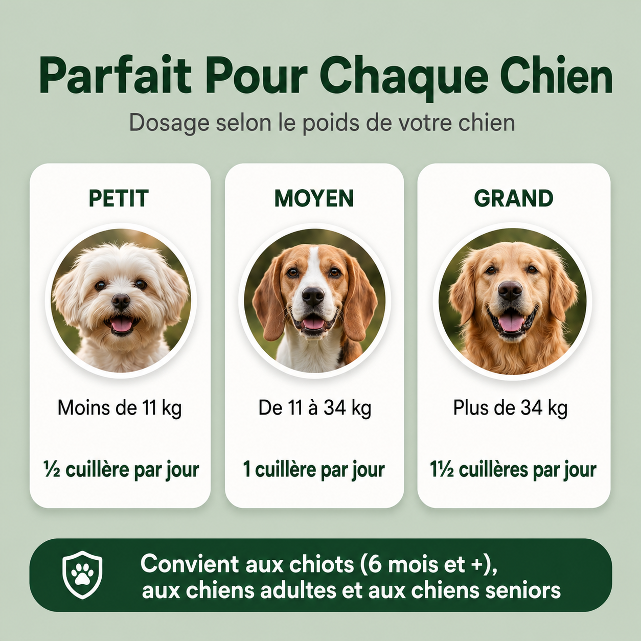 Savonia™ Pet Dental Cleaning Powder