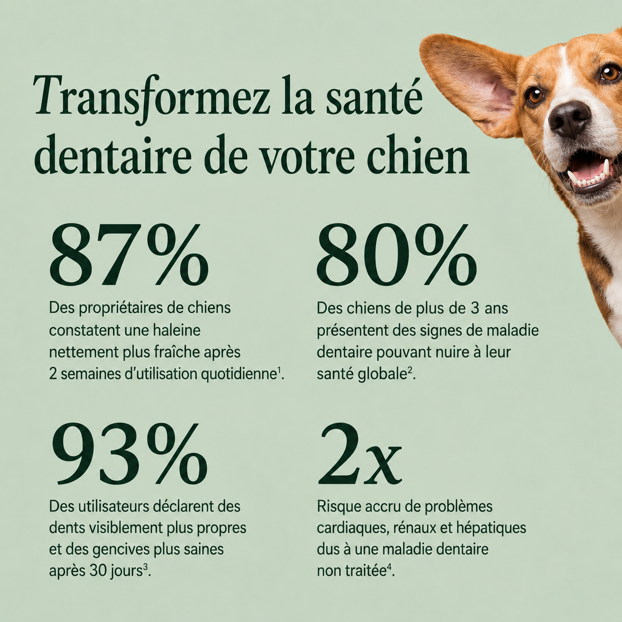Savonia™ Pet Dental Cleaning Powder