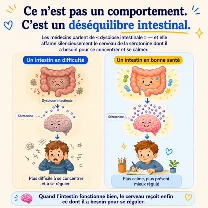 Savonia™ Équilibre Intestin-Cerveau — TEST OFFRES