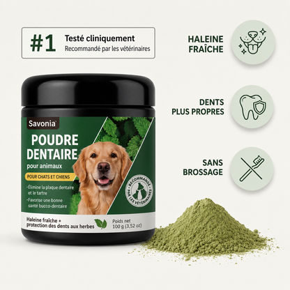 Savonia™ Poudre nettoyante dentaire pour animaux